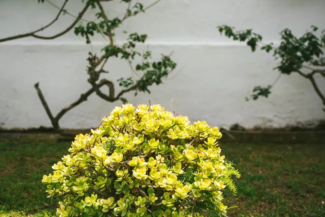 Villa La Jara Sanlucar Sanlucar de Barrameda Holiday home